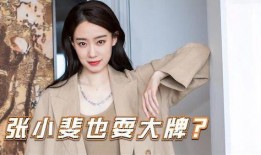 今日爆料张小斐视频播放,真实生活与荧幕形象的碰撞